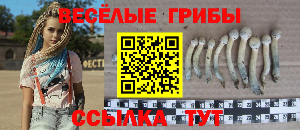 Галлюциногенные грибы MAGIC MUSHROOMS Жуковский